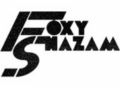 Foxyshazam Coupon Codes May 2024