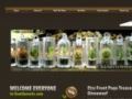 Gemsprouts Coupon Codes July 2025