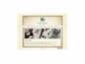 Getsnazzed Coupon Codes July 2025