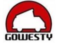 Gowesty Coupon Codes May 2024