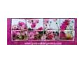 Green Nation Gardens Coupon Codes July 2025