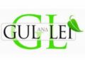 Gullei Coupon Codes April 2024