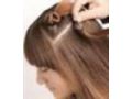 Hairextensionstore Coupon Codes April 2024