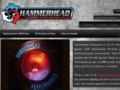 Hammerheadperformance 10% Off Coupon Codes May 2024