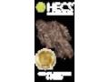 Hecs Coupon Codes July 2025