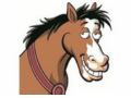 Horsesonstuff Coupon Codes July 2025
