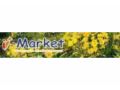 I Market City Coupon Codes September 2023
