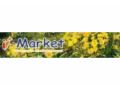 I Market City Coupon Codes April 2024