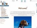Indi-dog Uk Coupon Codes July 2025