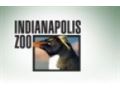 Indianapolis Zoo Coupon Codes May 2024