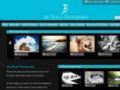 Joeboylephotography Coupon Codes July 2025