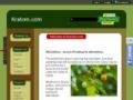 Kratom Coupon Codes July 2025