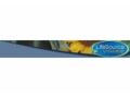 Lifesource Nutrition Coupon Codes December 2023