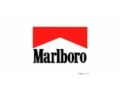 Marlboro Coupon Codes December 2023