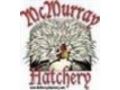 McMurray Hatchery 15$ Off Coupon Codes May 2024