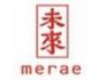 Merae Coupon Codes April 2024