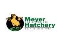 Meyerhatchery 25% Off Coupon Codes May 2024