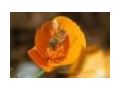 Organic And Natural Enterprise Group Coupon Codes April 2023