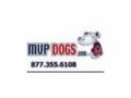 Mvpdogs Coupon Codes April 2024