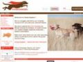 Myflyingdoggies Coupon Codes May 2024