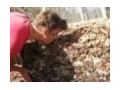 Myhomeecology Coupon Codes July 2025