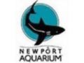 Newport Aquarium 20$ Off Coupon Codes May 2024