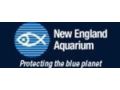New England Aquarium 5% Off Coupon Codes May 2024