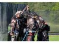 Nlrpaintball Coupon Codes April 2024