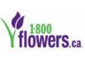 1-800-flowers Canada Coupon Codes July 2025
