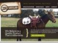 2rmules Coupon Codes April 2024