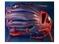 44progloves Coupon Codes July 2025