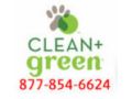 Odorandstainremover Coupon Codes July 2025