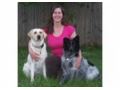 Petautosafety Coupon Codes July 2025