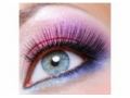 Playlashes Coupon Codes July 2025