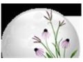 Prairie Moon Nursery Coupon Codes June 2023