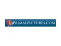 Primalpictures 10% Off Coupon Codes May 2024