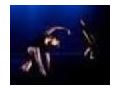 Projectmotiondance Coupon Codes July 2025