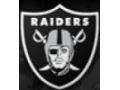 Raiders 30% Off Coupon Codes May 2024