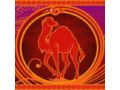 Redcamel Coupon Codes June 2023