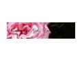 Scentimental Gifts Coupon Codes July 2025