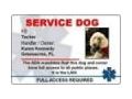 Service Dog Gear Coupon Codes May 2024