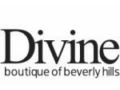 Divine 25% Off Coupon Codes May 2024