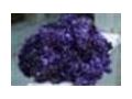 Shopneauveau Coupon Codes July 2025