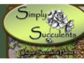 Simply Succulents Coupon Codes April 2024