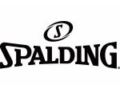 Spalding 10% Off Coupon Codes May 2024