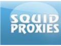 Squid Proxies 25% Off Coupon Codes May 2024