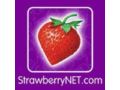 Strawberrynet Coupon Codes July 2025