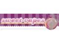 Sweet-vapes Coupon Codes July 2025