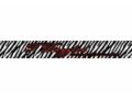 Tdazzled Coupon Codes December 2023