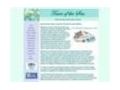 Tearsofthesea Coupon Codes June 2023